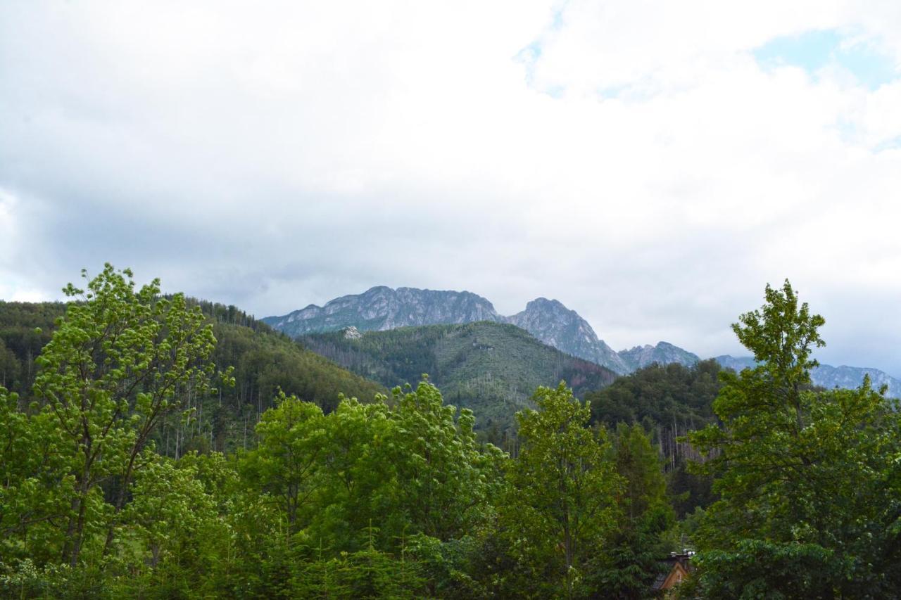 Willa Halka Zakopane Exteriér fotografie